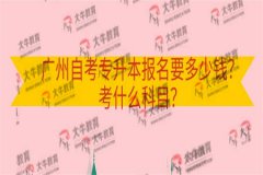 2020年的自考大专|我可以在 2020 年升级我的大学学位吗？