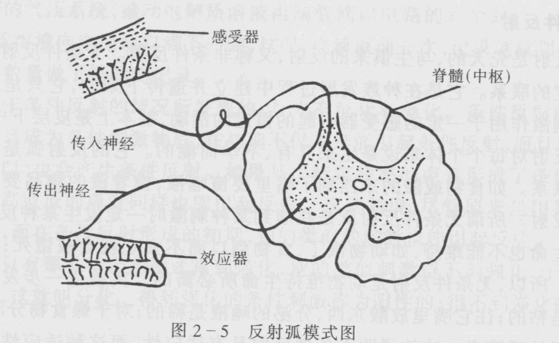 简述意识的本质|017 意识的产生、性质和积极作用